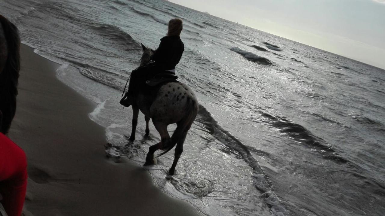 Romantica Toscana Βίλα Scarlino Εξωτερικό φωτογραφία